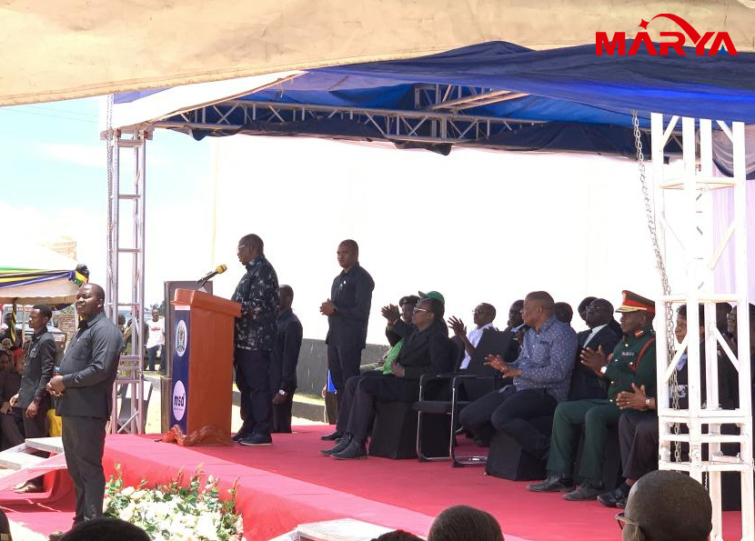 مشتری تانزانیایی Project Line Project 6